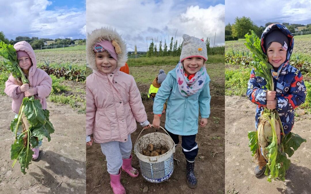 WYKOPKI NA RANCZU ARTEMIDA